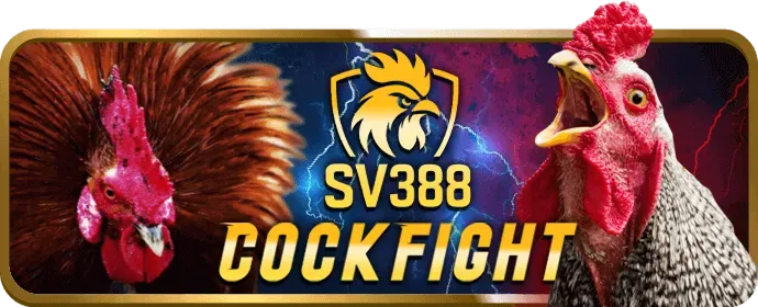 Cá cược thể thao AV88